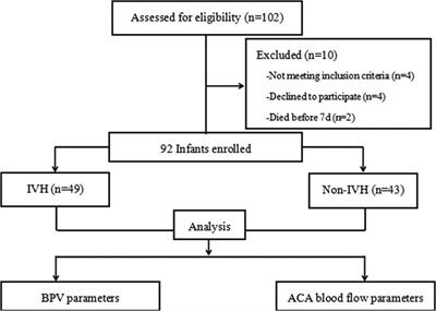 The role of blood pressure variability indicators combined with cerebral blood flow parameters in predicting intraventricular hemorrhage in very low birth weight preterm infants